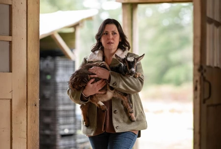 Картинка сериала Шершни